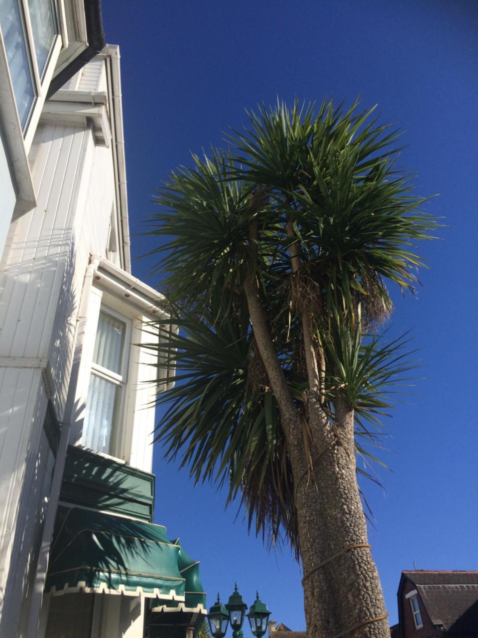 The Haldon Guest House Paignton Exterior photo